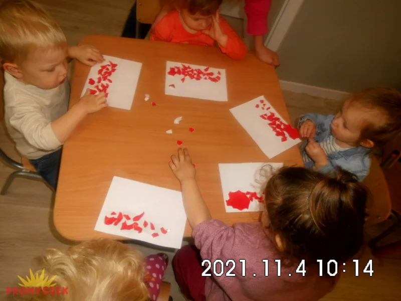 zdjęcie - 12